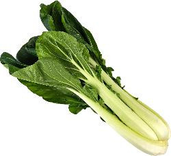 Produktfoto zu Pak Choi