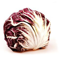 Produktfoto zu Radicchio