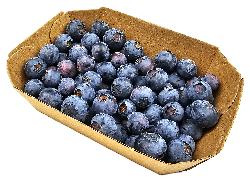 Produktfoto zu Heidelbeeren 125g