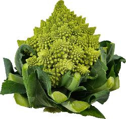 Produktfoto zu Romanesco