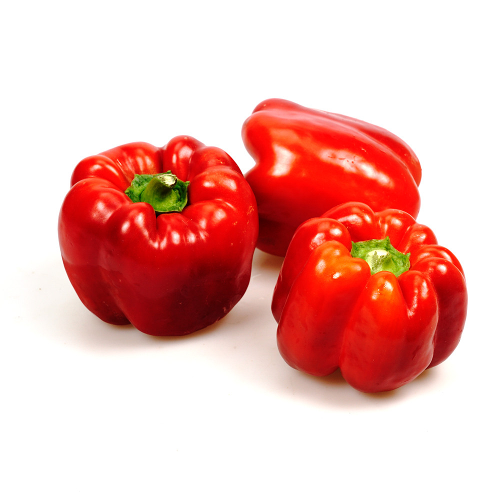 Paprika rot