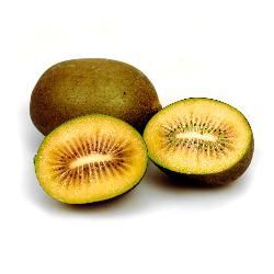 Produktfoto zu Kiwi gelb